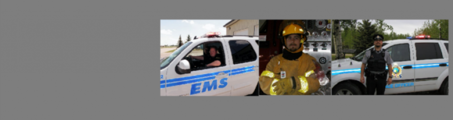 Training and Course Development for the Security Industry and First Responders